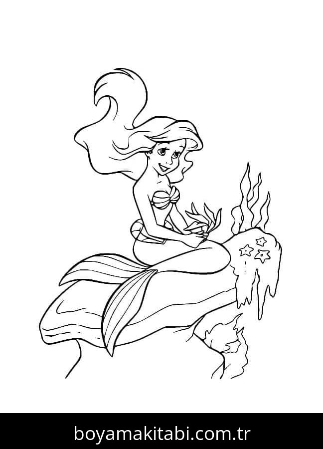 Küçük Deniz Kızı (Little Mermaid)
