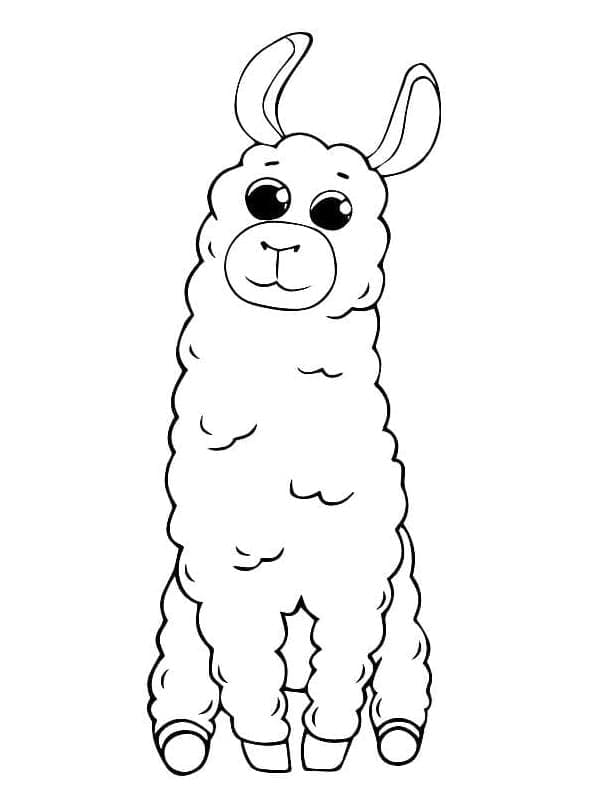 Lama