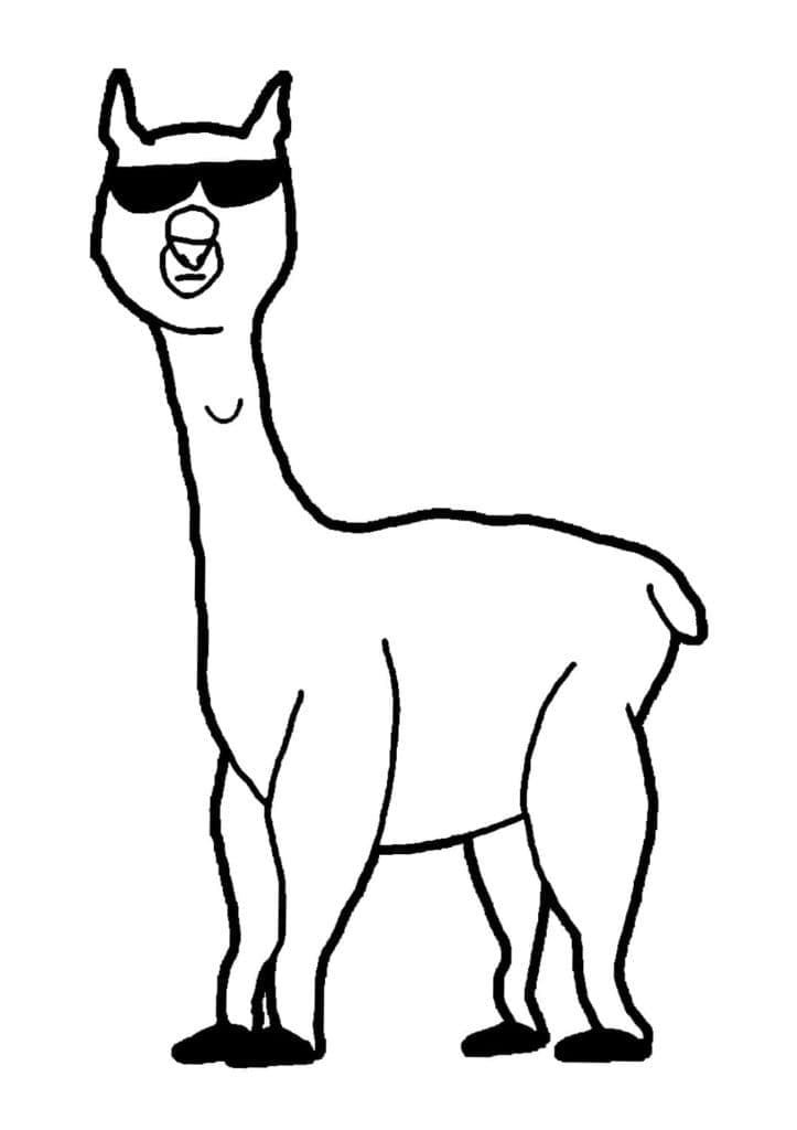 Lama