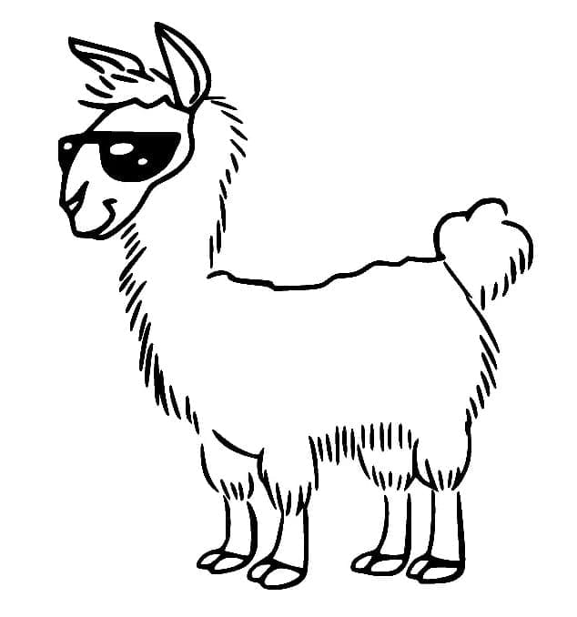 Lama