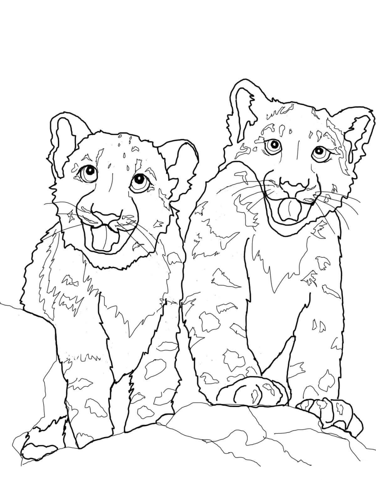 Leopar