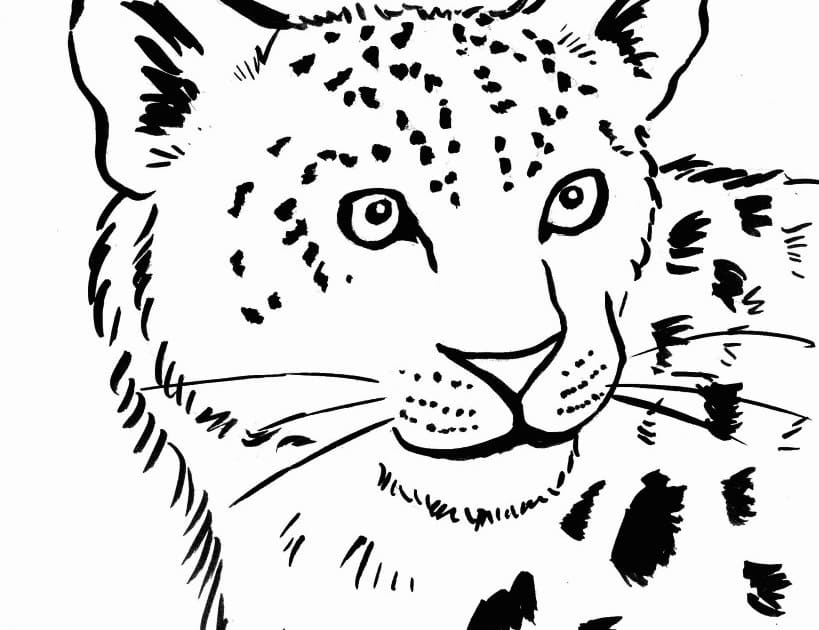 Leopar