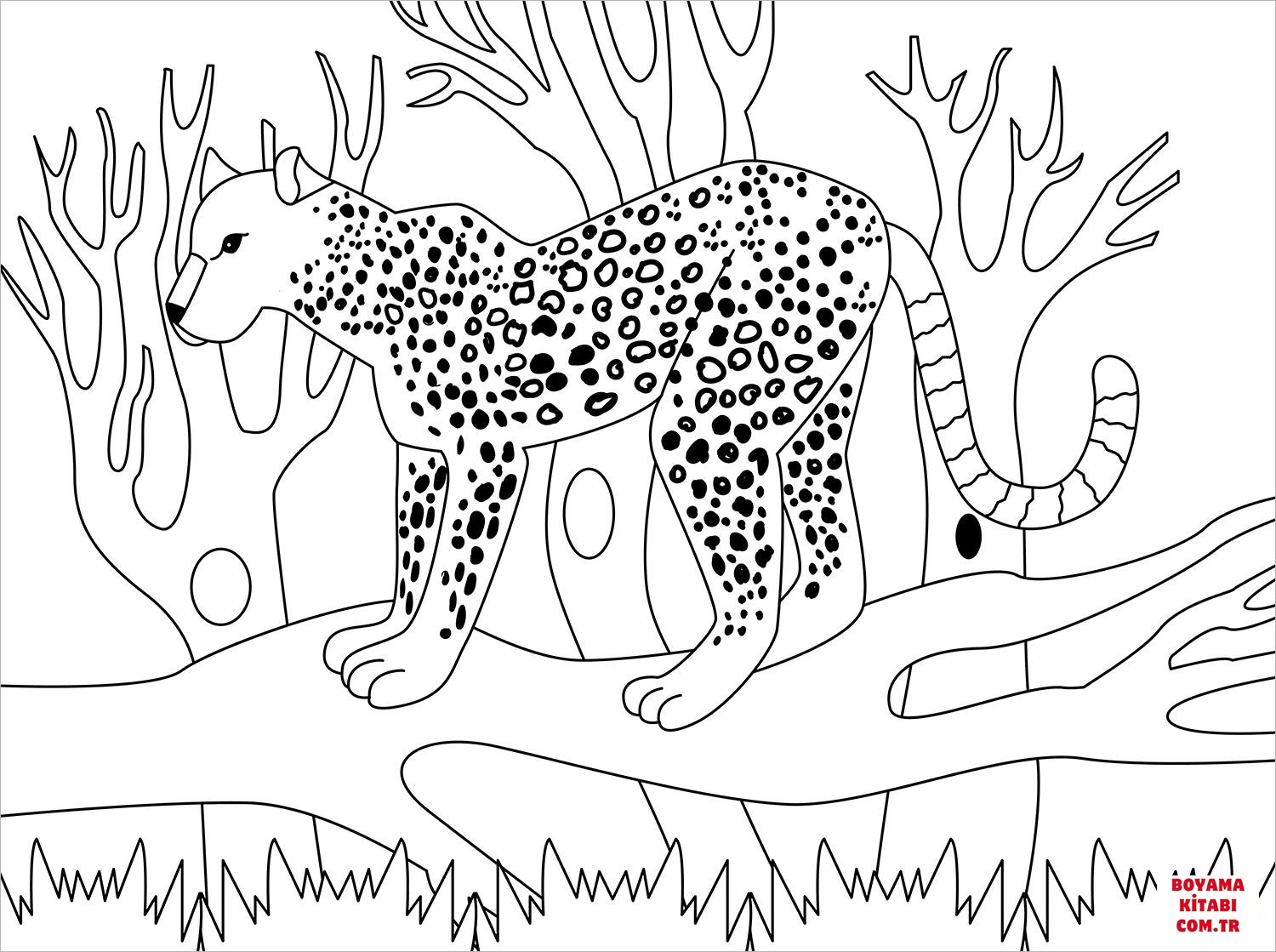 Leopar