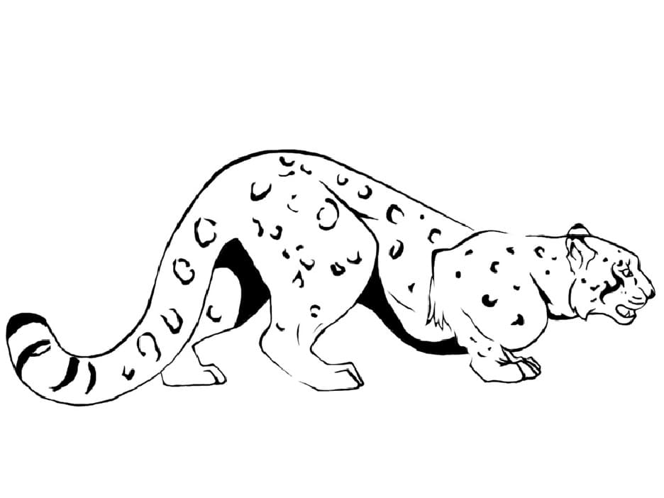 Leopar