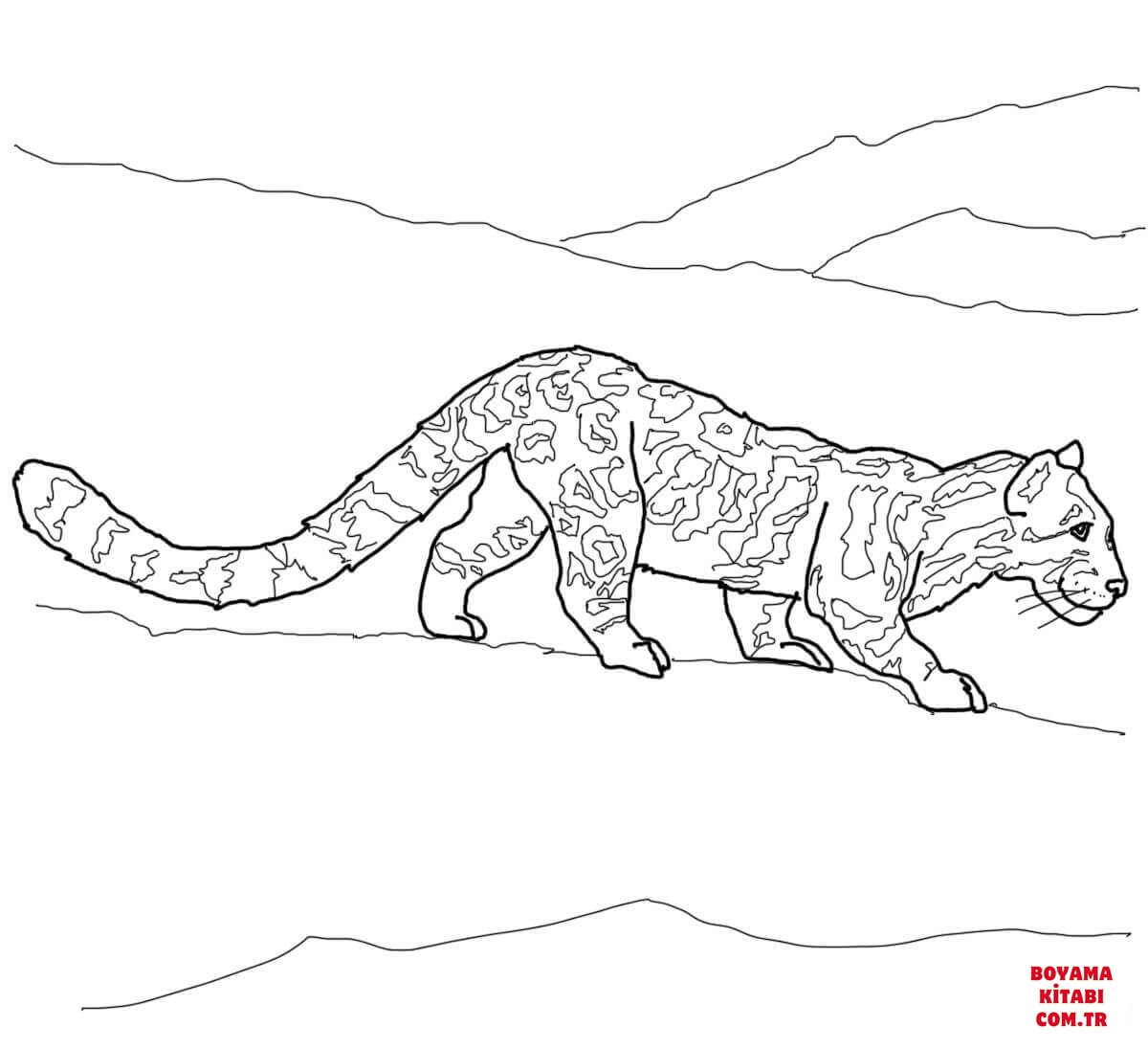 Leopar