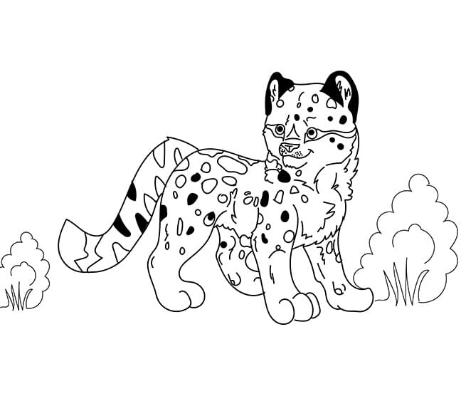 Leopar