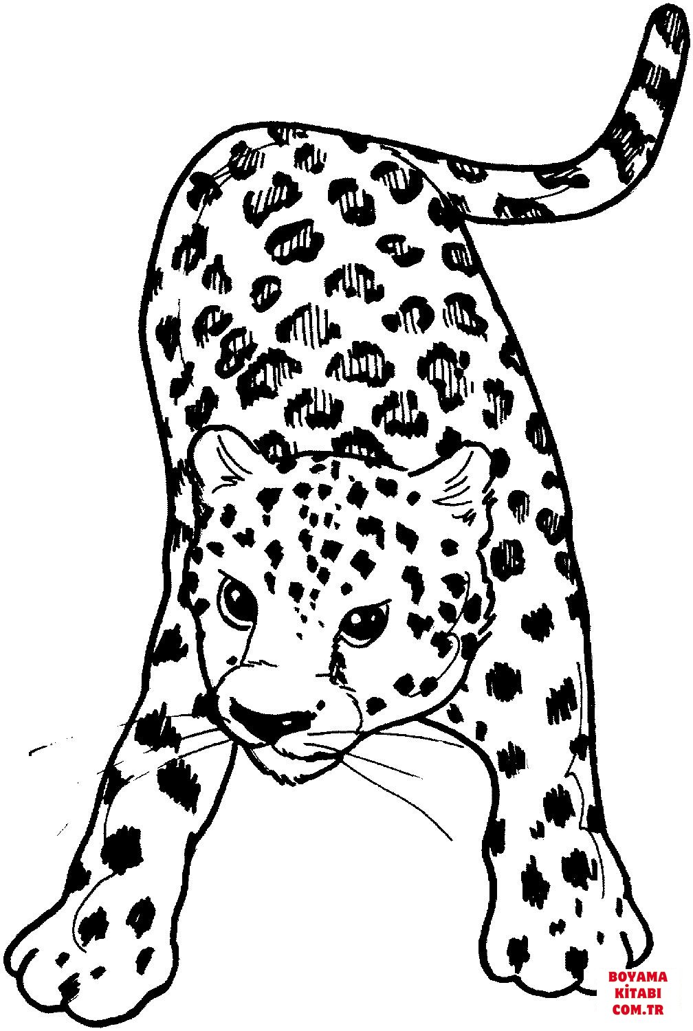 Leopar