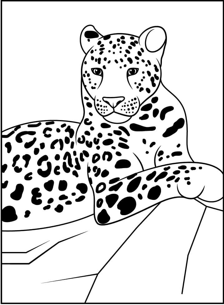 Leopar