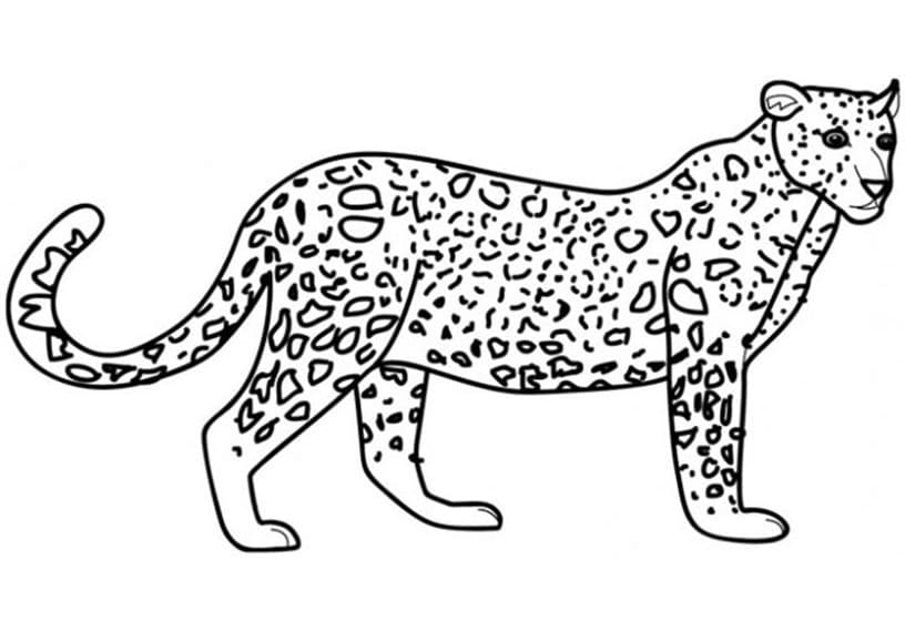 Leopar