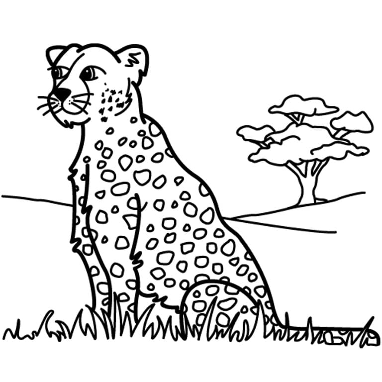 Leopar