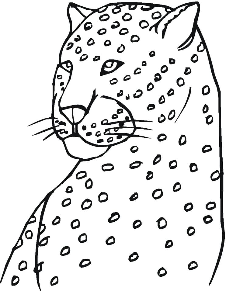 Leopar