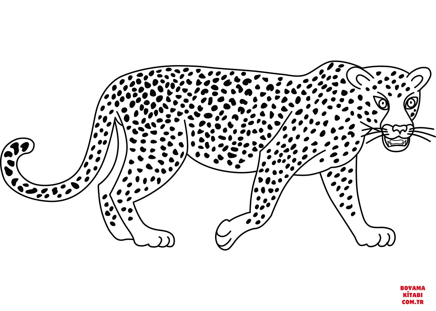 Leopar