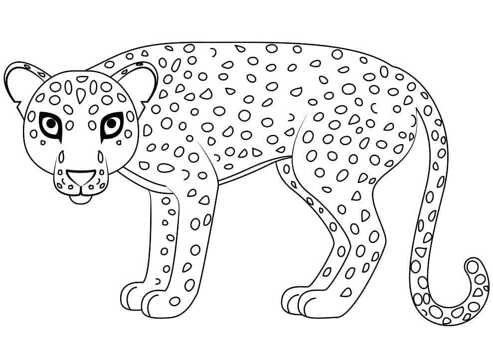 Leopar