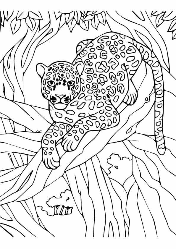 Leopar