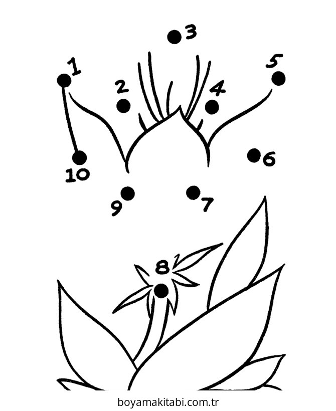 Noktaları Birleştirme