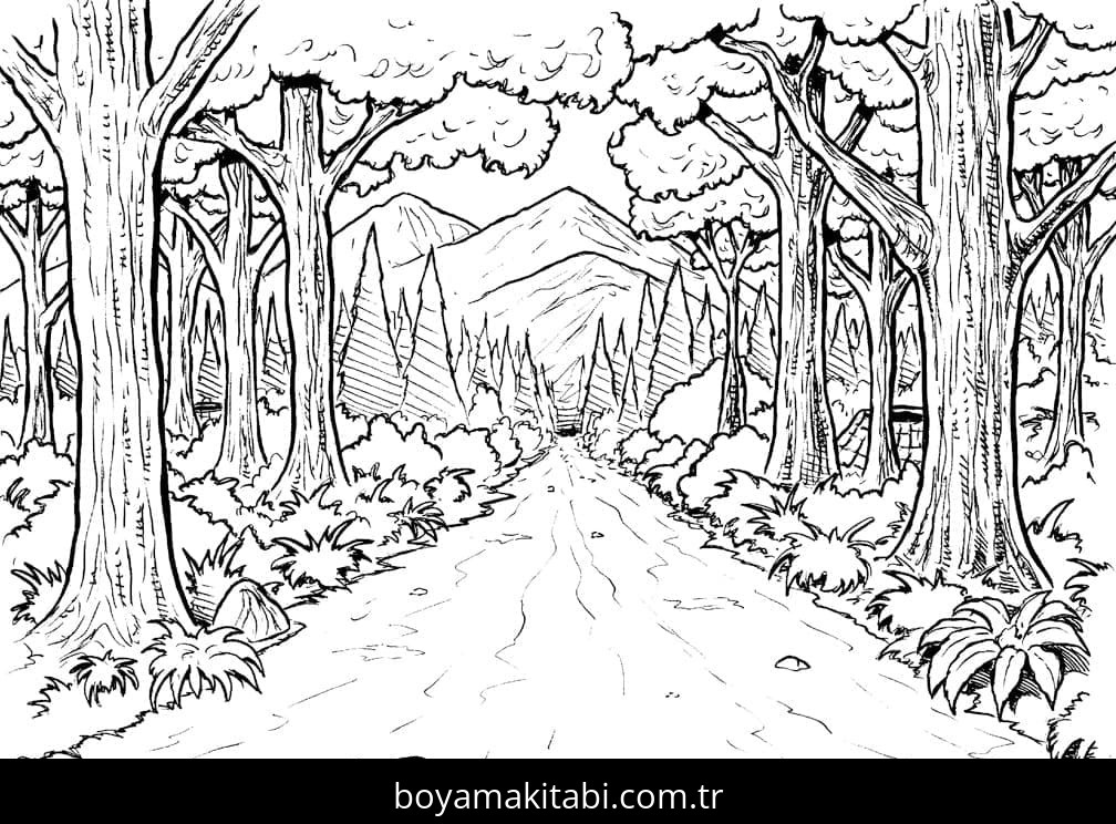 Orman
