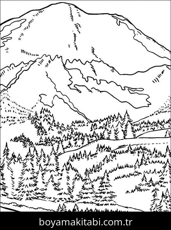 Orman