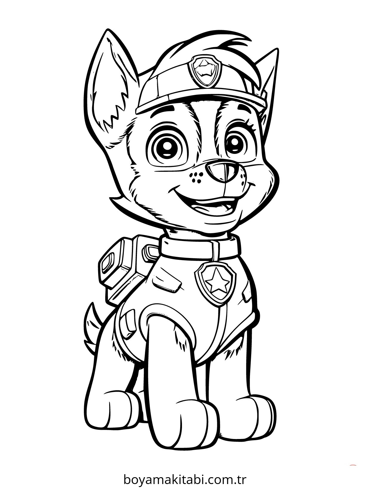 Paw Patrol