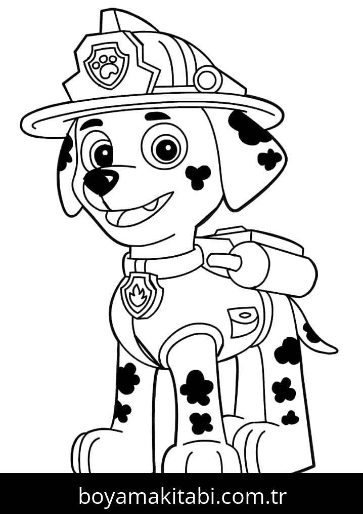 Paw Patrol