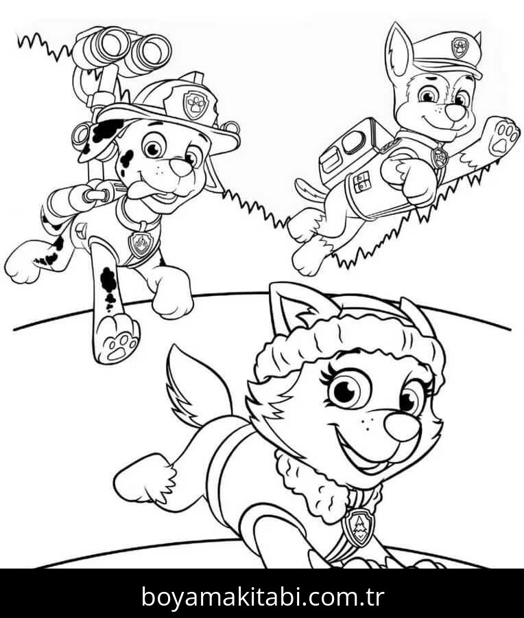 Paw Patrol