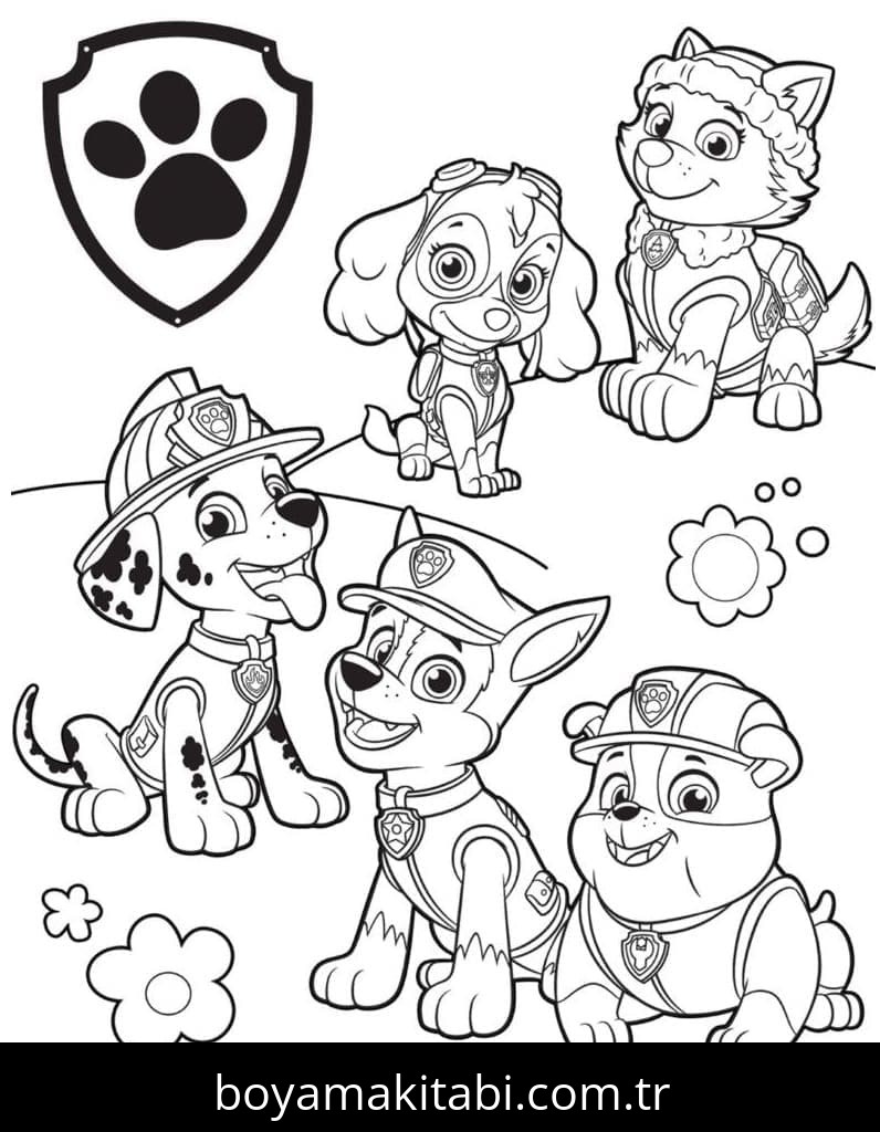 Paw Patrol