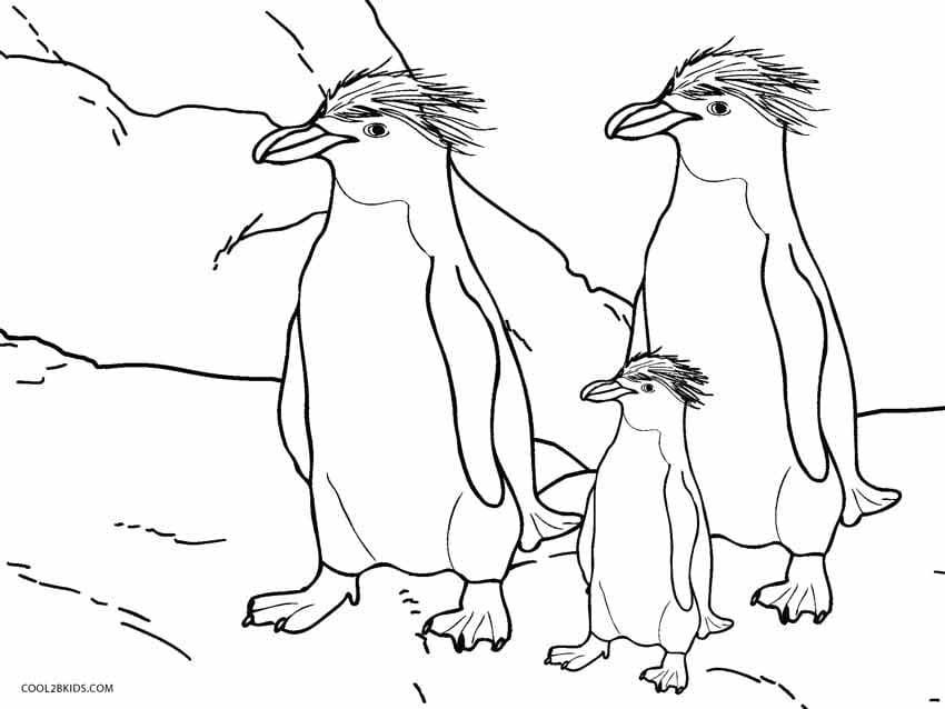 Penguenler