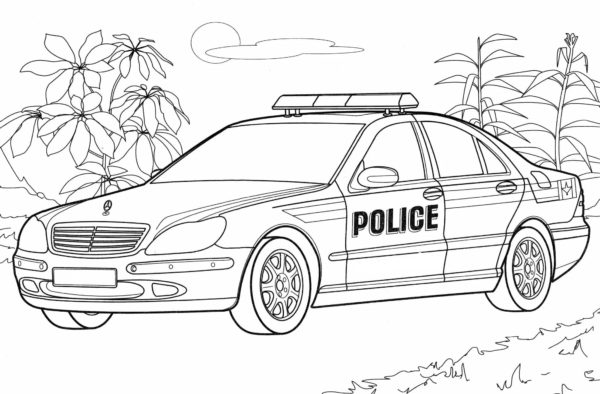 Polis Arabası