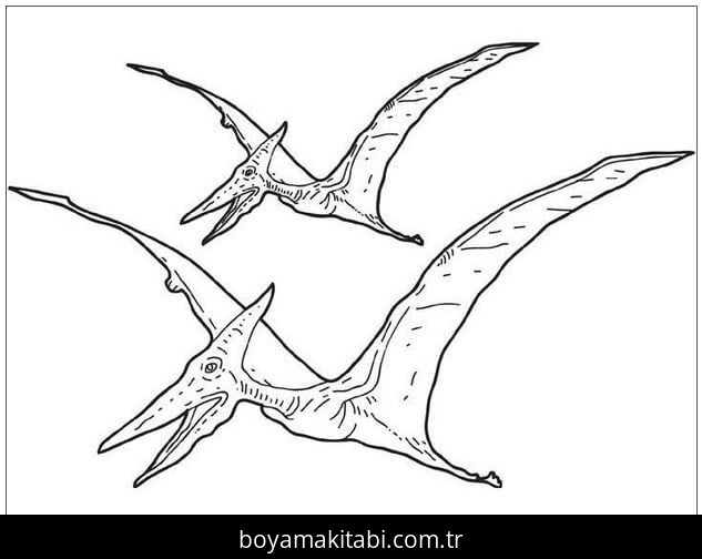 Pterodactyl Dinazor