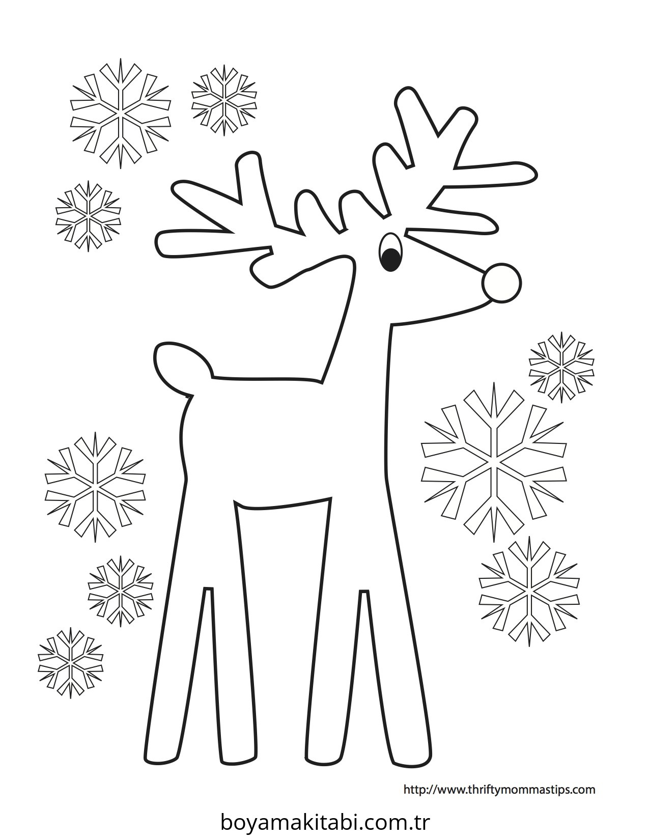 Reindeer