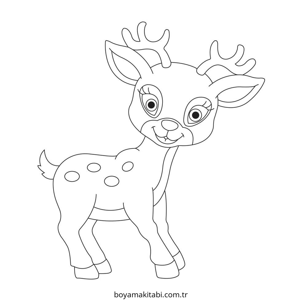Reindeer