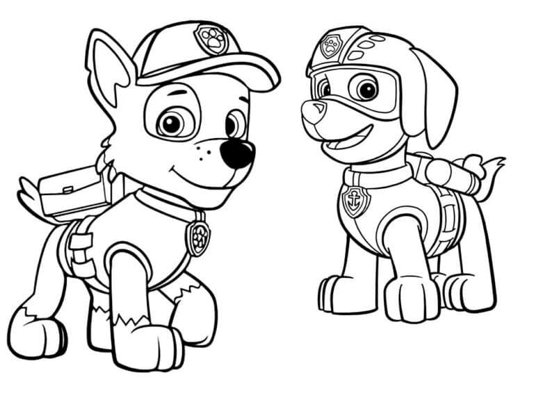 Rocky Paw Patrol