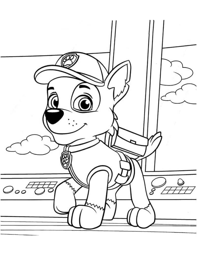 Rocky Paw Patrol