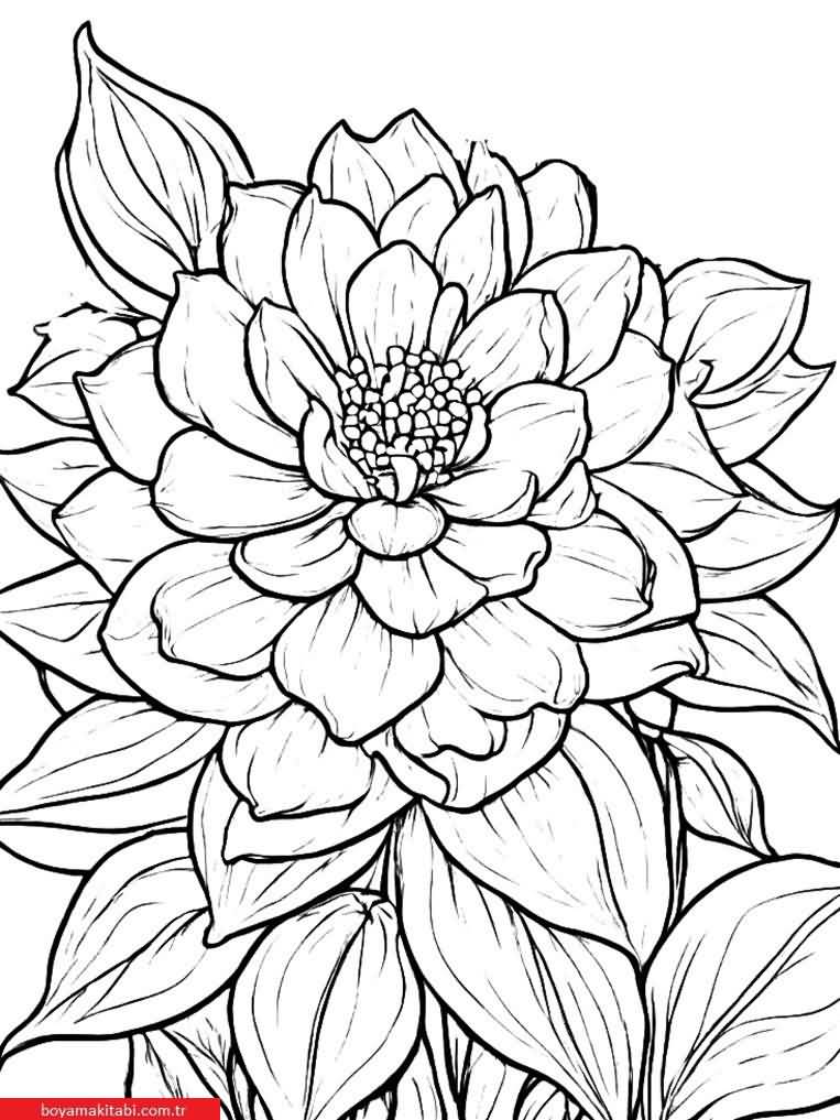 Sanatsal Yabani Çiçekler