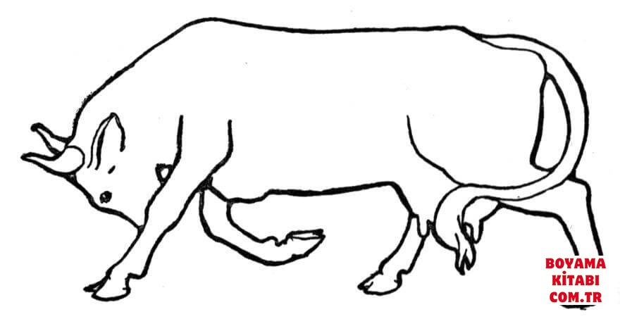 Sığır