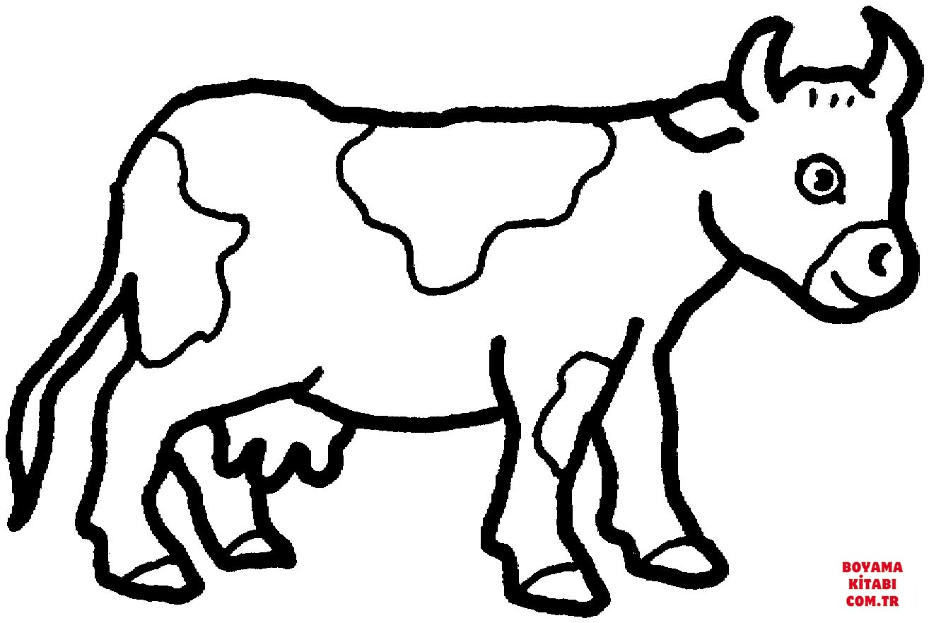Sığır