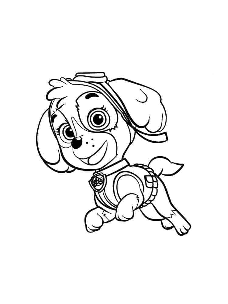 Skye Paw Patrol