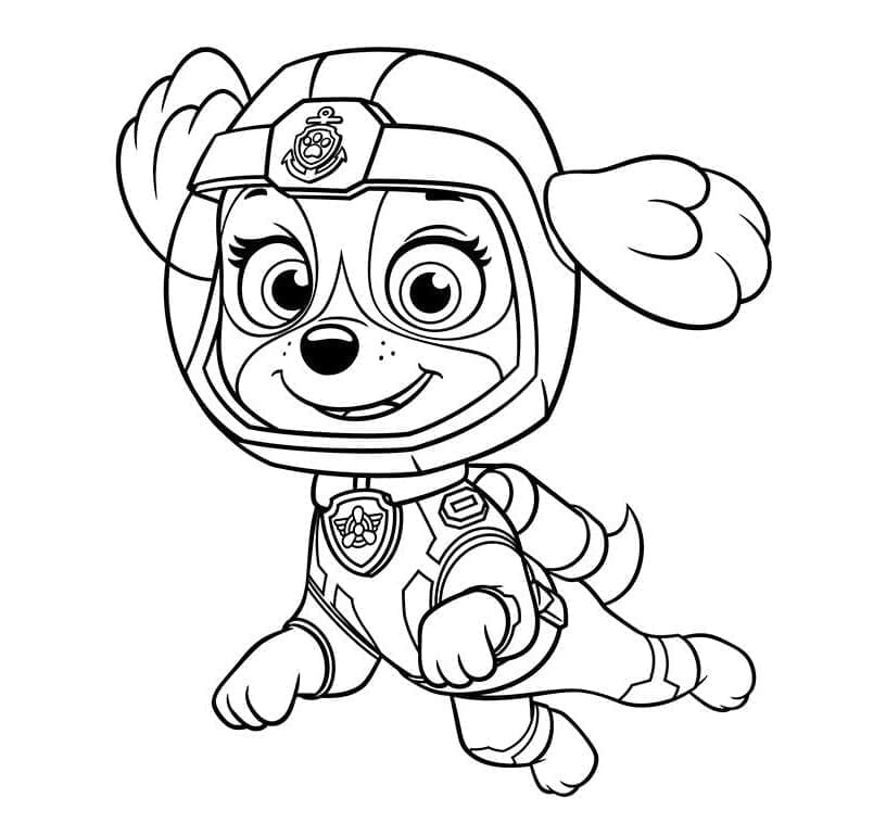 Skye Paw Patrol