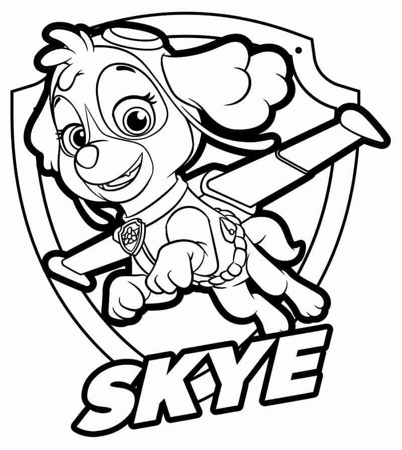 Skye Paw Patrol