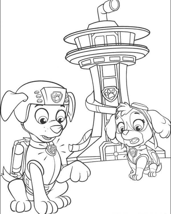 Skye Paw Patrol
