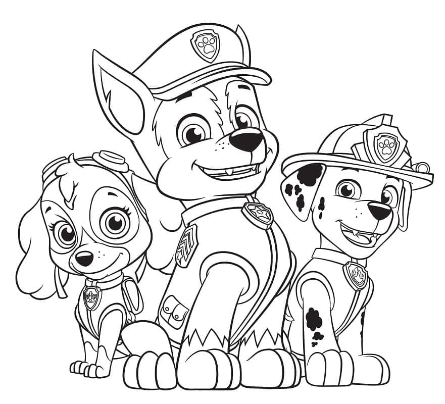 Skye Paw Patrol