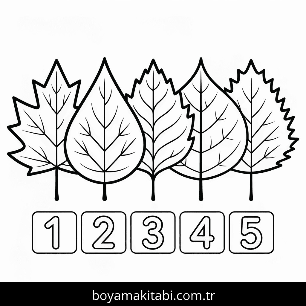 Sonbahar