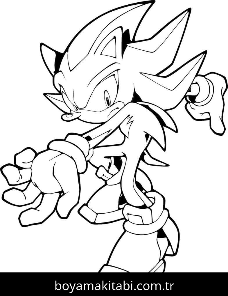 Sonic