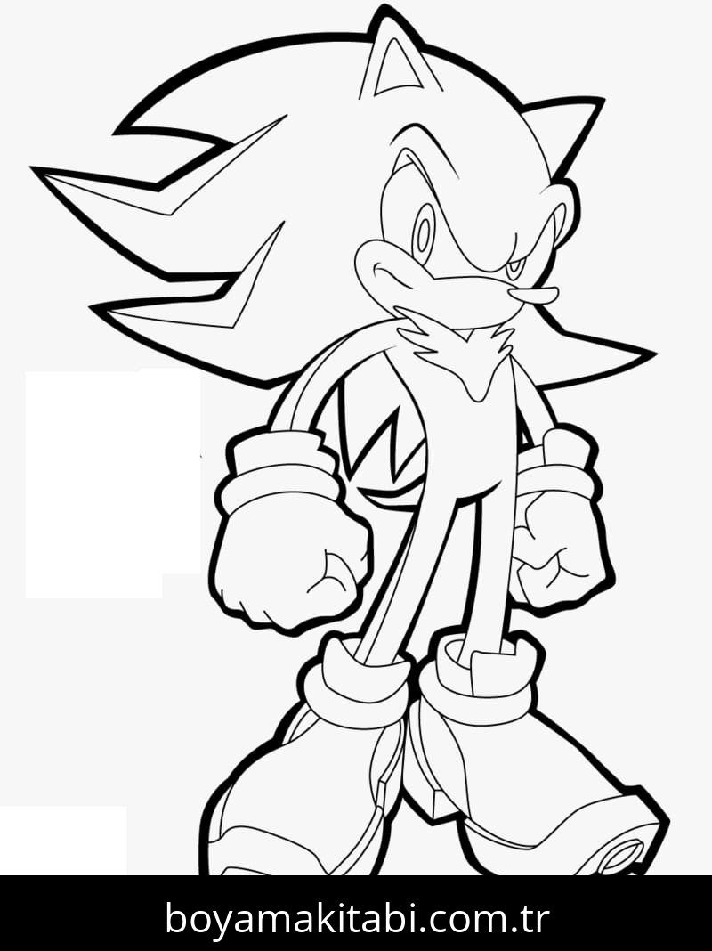 Sonic