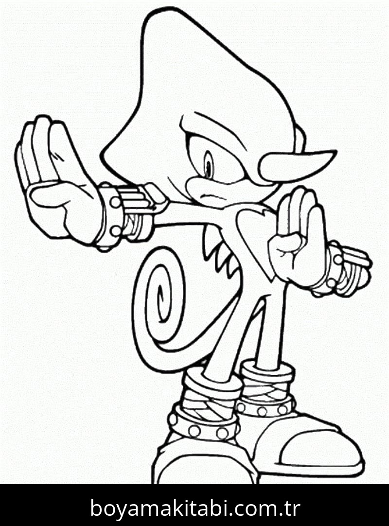Sonic