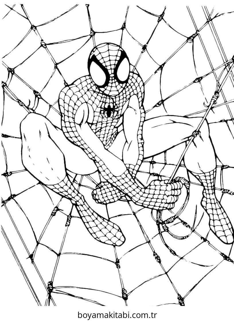 Spiderman