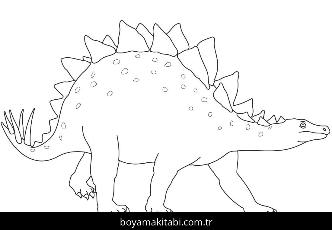Stegosaurus Dinazor