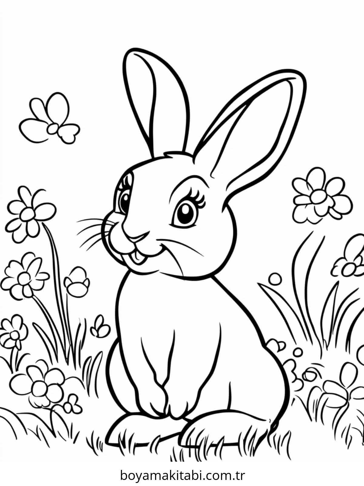 Tavşan