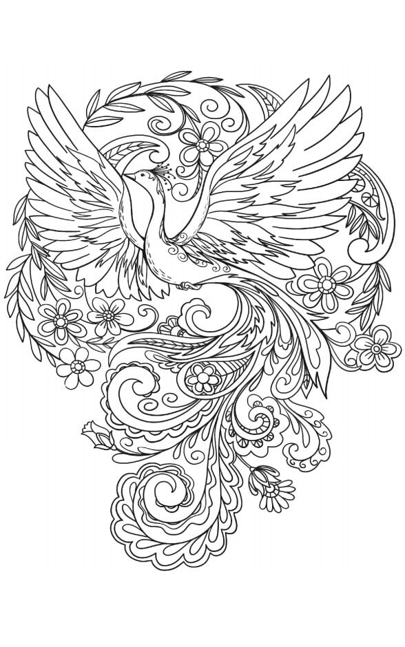 Tavus Kuşu