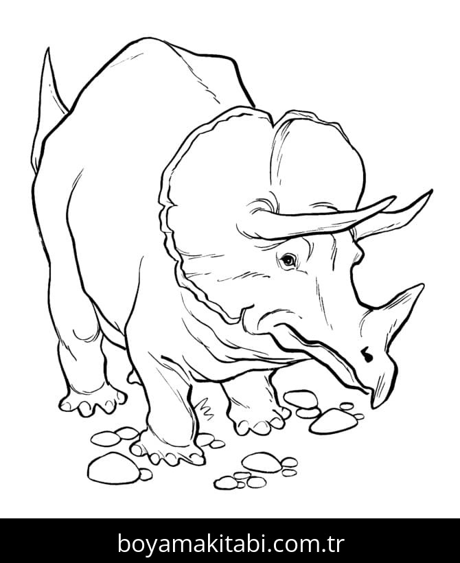 Triceratops