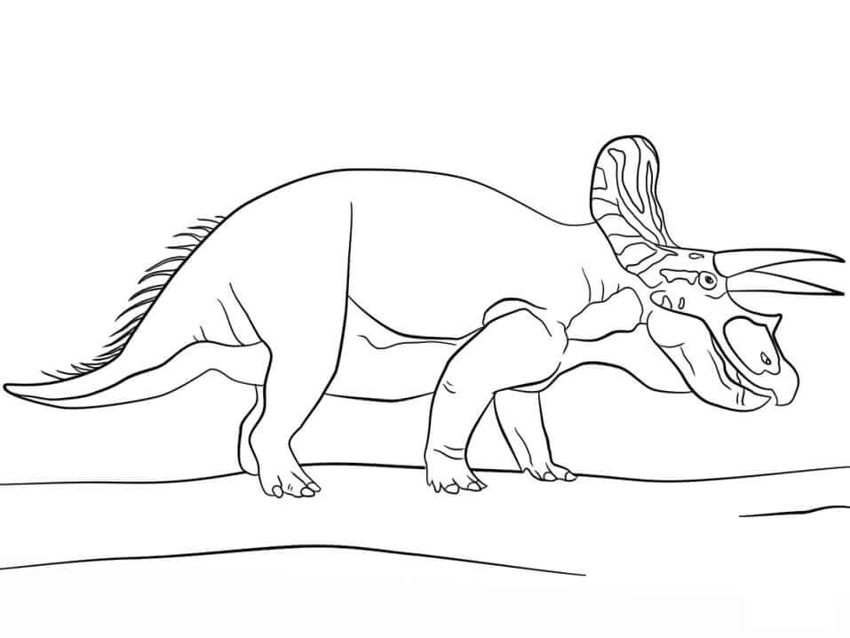 Triceratops